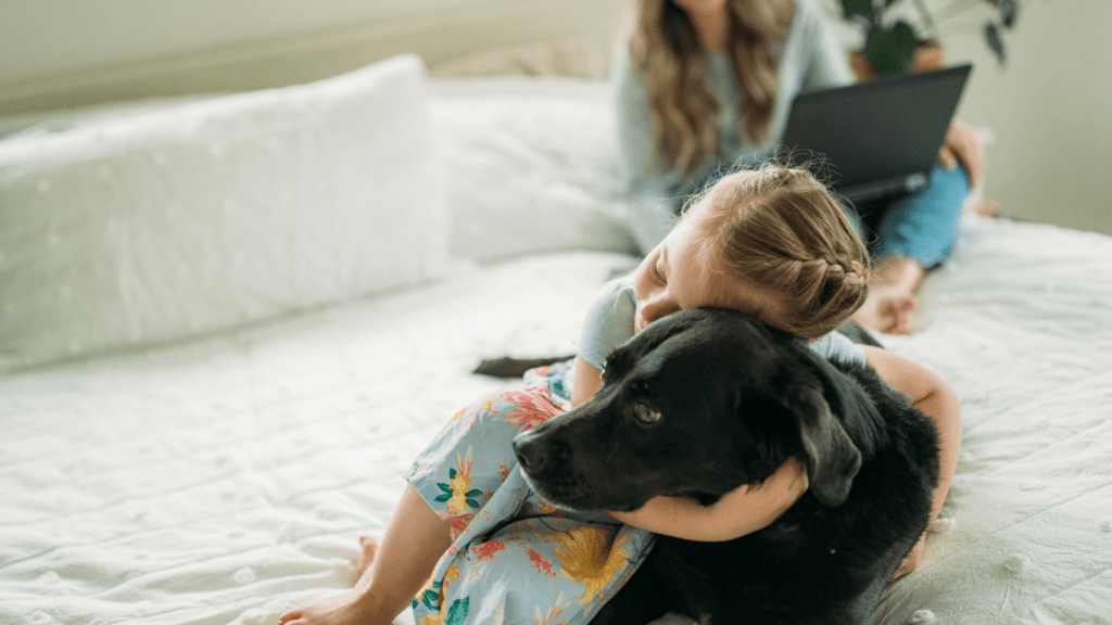 A person sitting at a desk hugging a dog