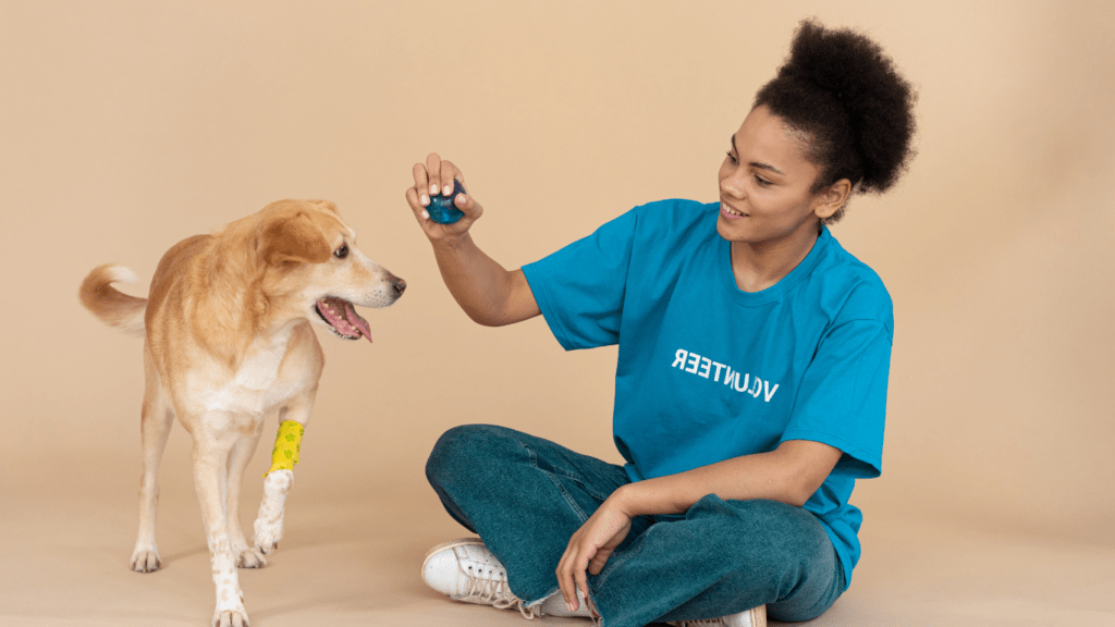 a person in a blue shirt is petting a dog