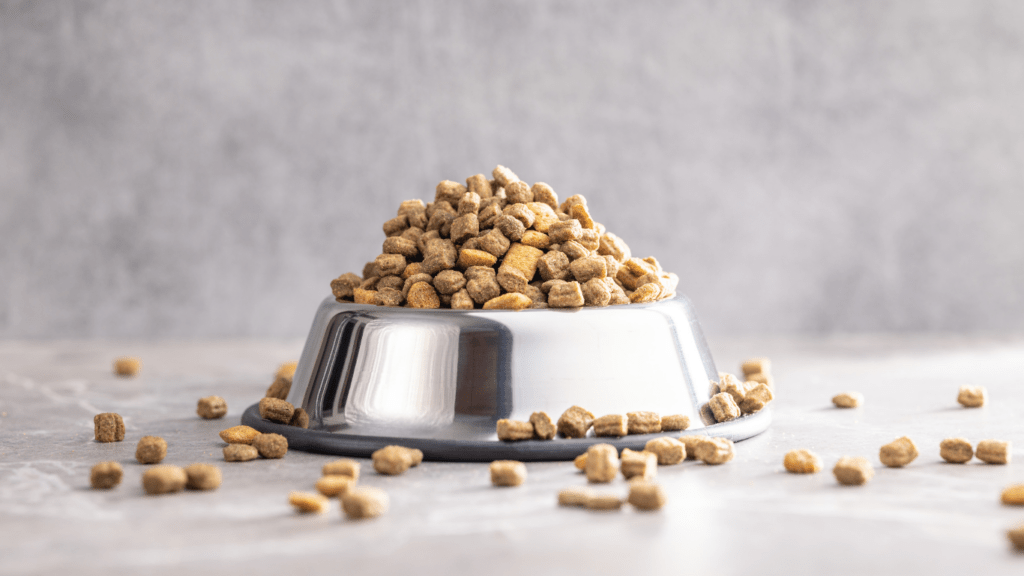 an image of a dog food in a bowl