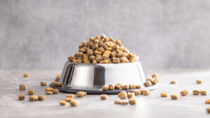 an image of a dog food in a bowl