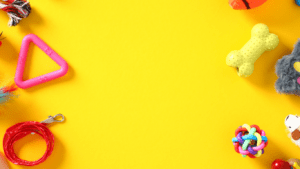 various toys on a yellow background