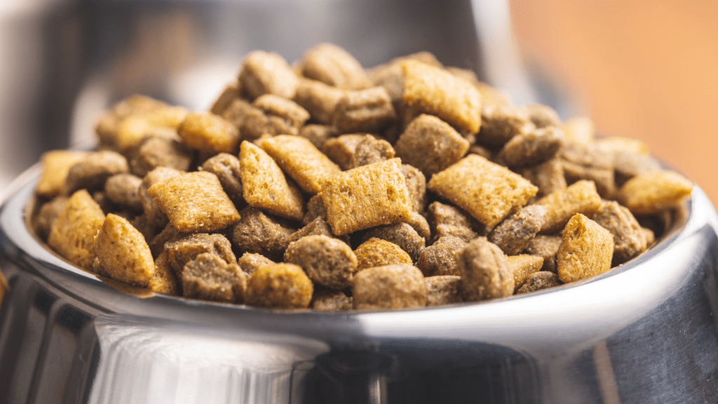 a close up of two metal bowls filled with dog food