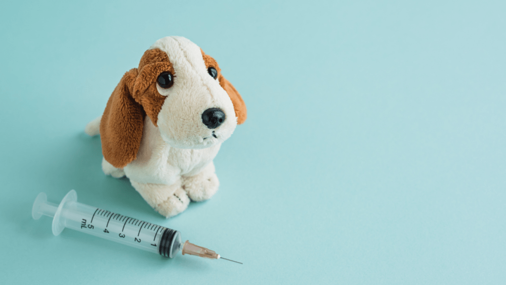 an image of a stuffed dog next to a syringe