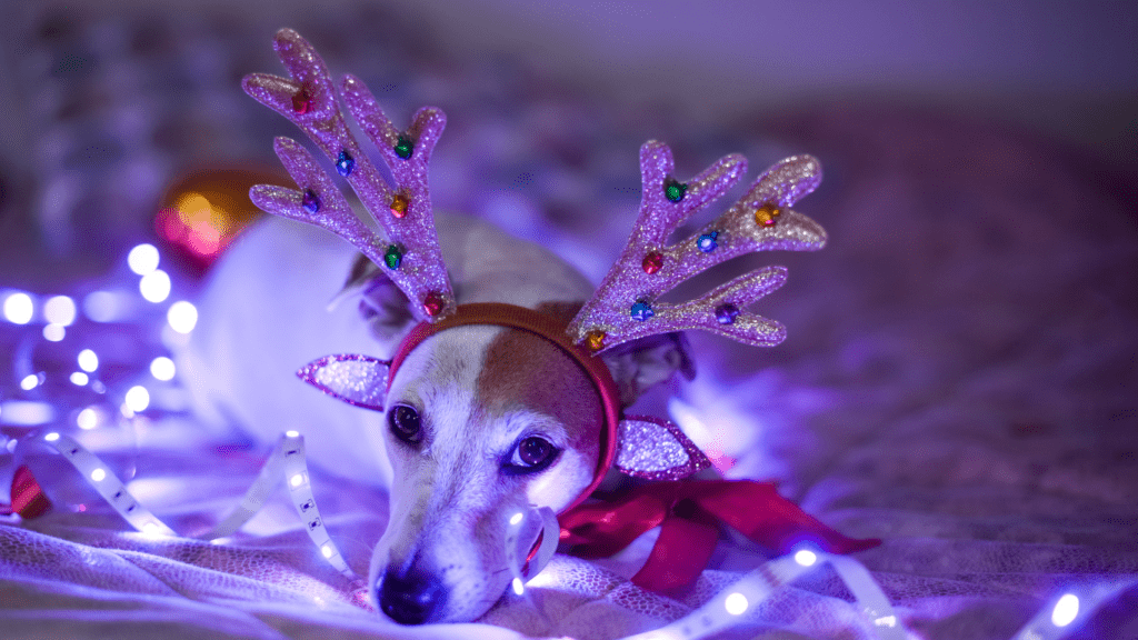 a dog wearing reindeer antlers laying on a bed