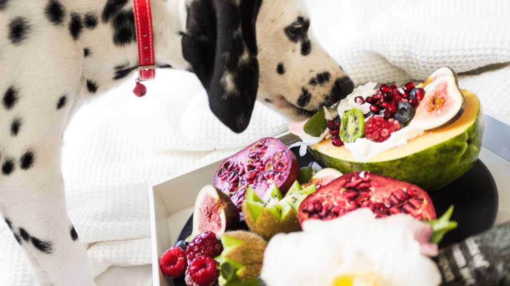 a dog sniffing at a plate of fruit