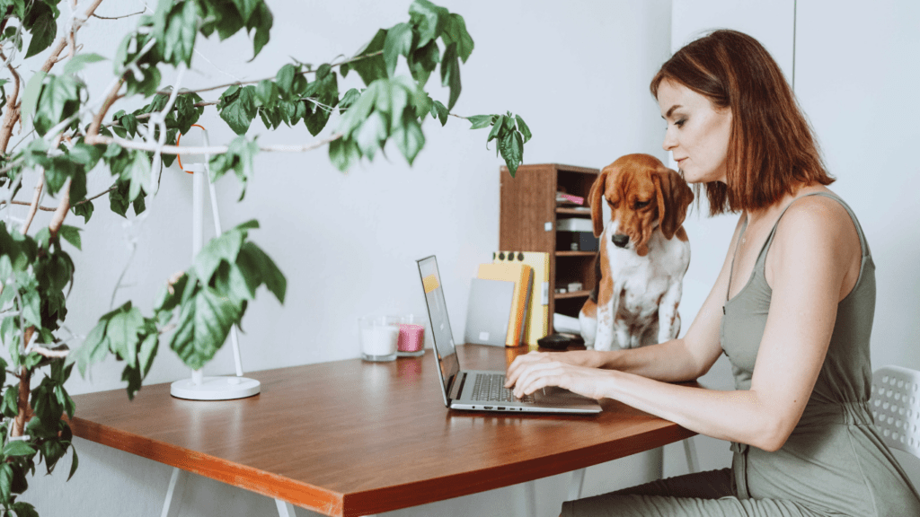 a person sitting at a desk with a dog on their lap