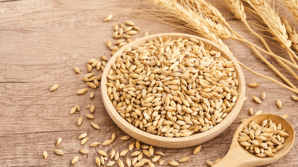 Top Benefits of Grain Free Diets for Pets