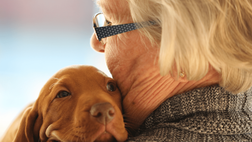 Someone holding a puppy in their arms