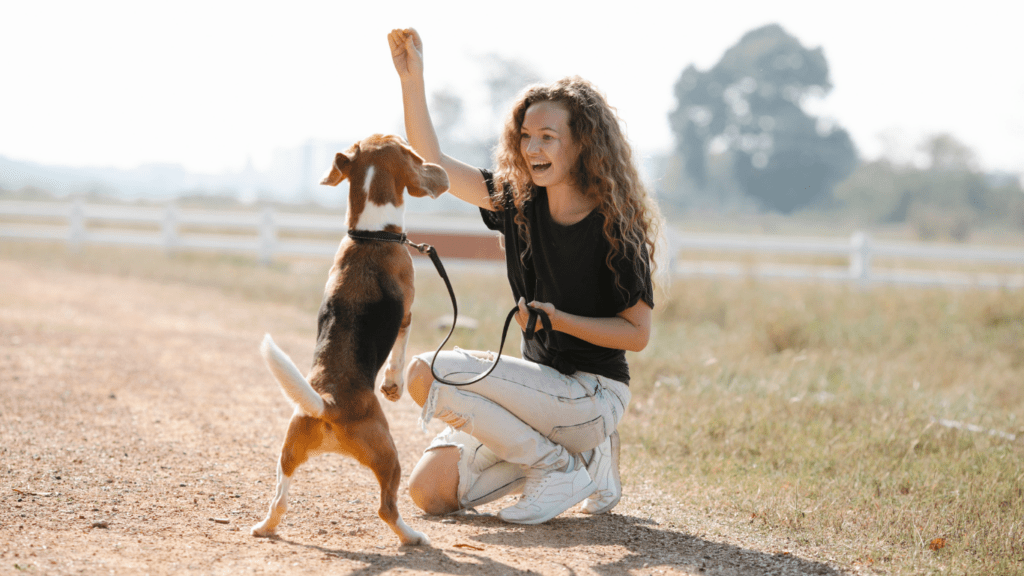 a person is playing with a dog on a dirt road