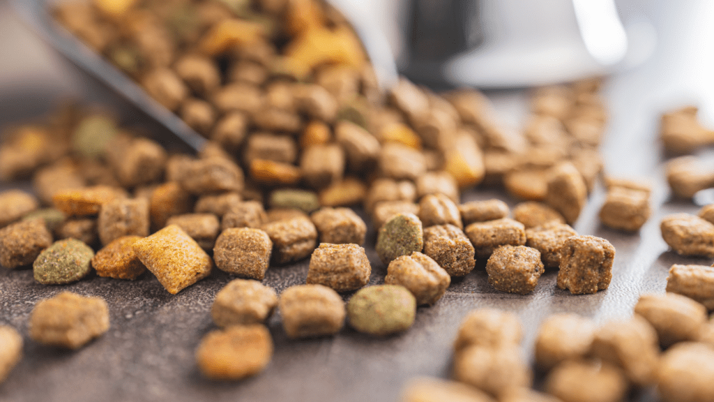 a close up of two metal bowls filled with dog food