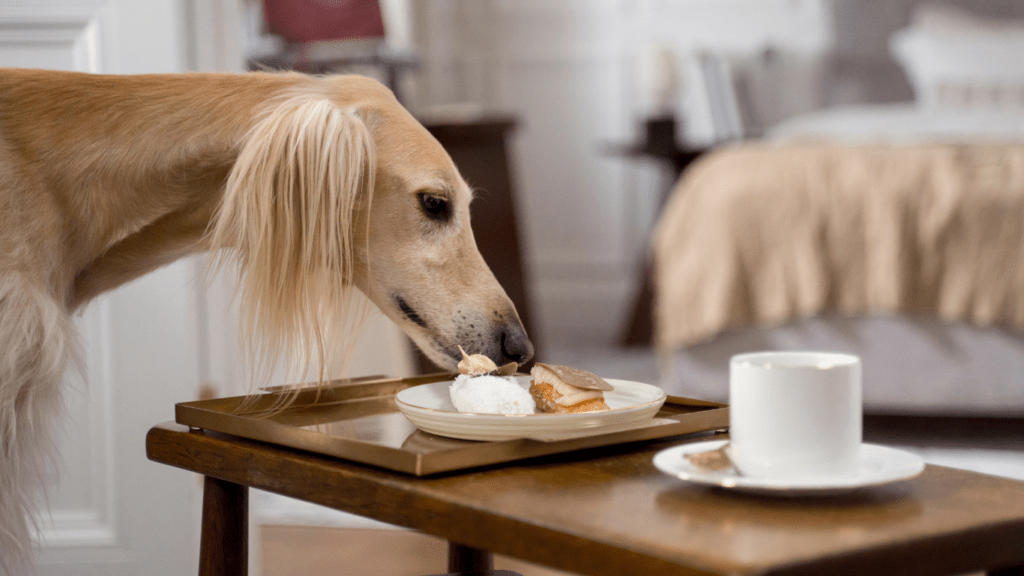 a dog sniffing at a plate of fruit