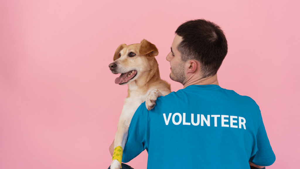 a person in a blue shirt is petting a dog