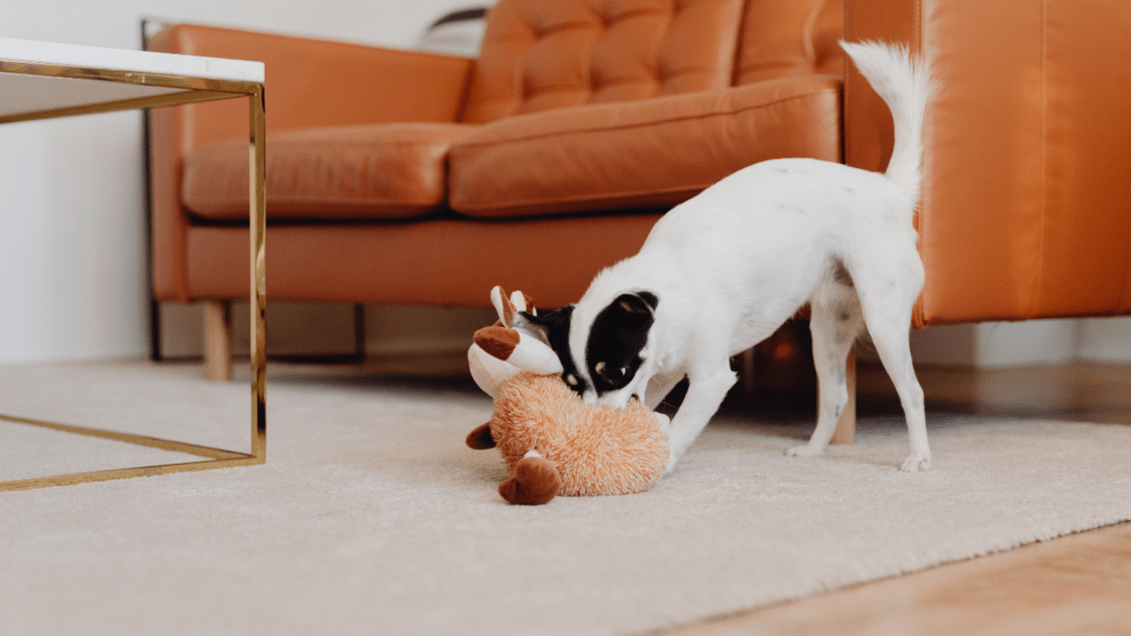 a small dog playing with a stuffed animal