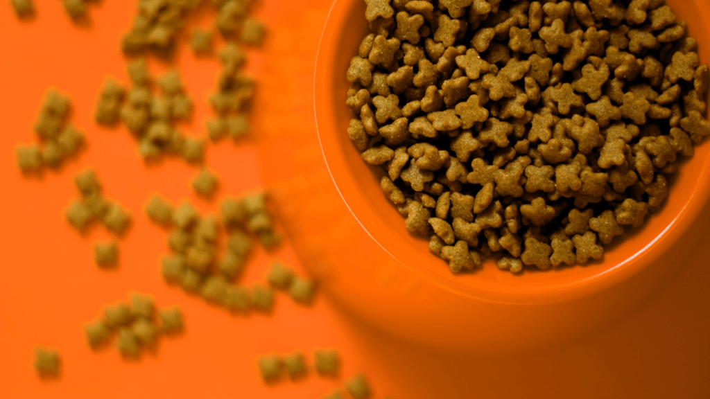 an image of a dog food in a bowl