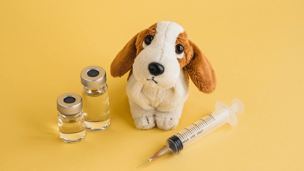 an image of a stuffed dog next to a syringe