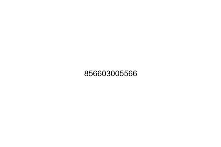 856603005566