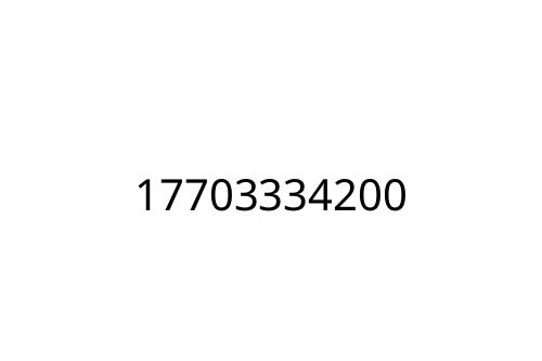 17703334200