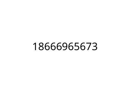 18666965673