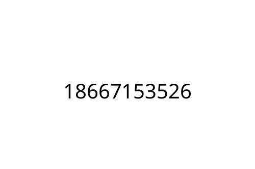 18667153526