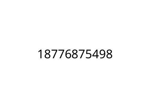 18776875498