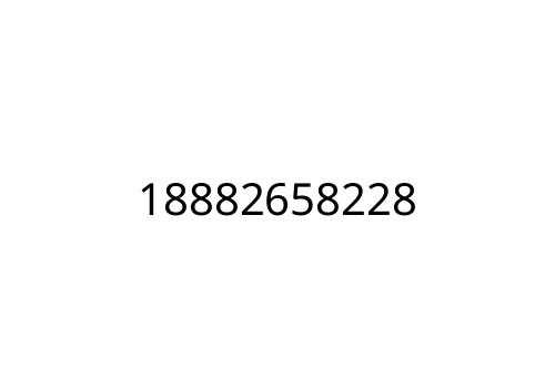18882658228