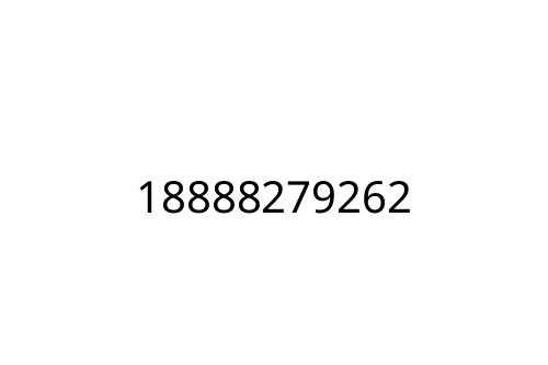 18888279262