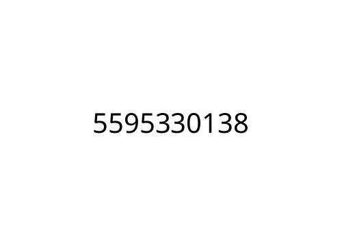 5595330138