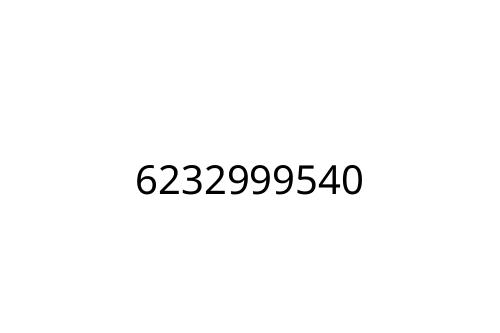 6232999540