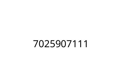 7025907111