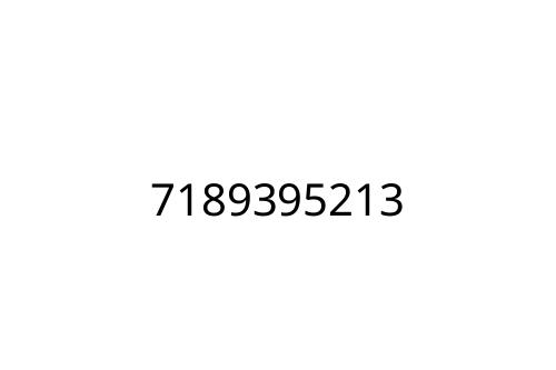 7189395213