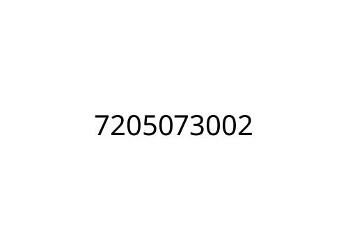 7205073002