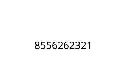 8556262321