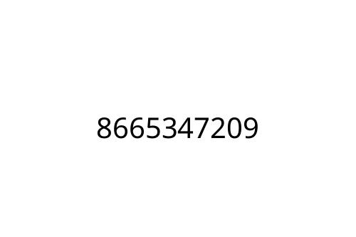 8665347209