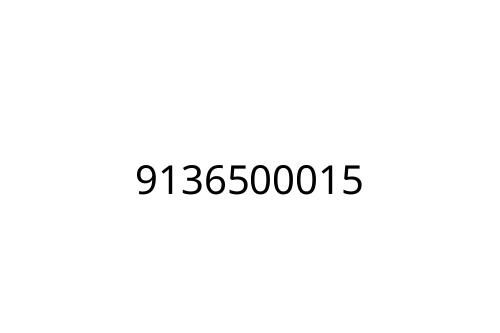 9136500015