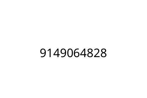 9149064828
