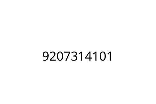 9207314101