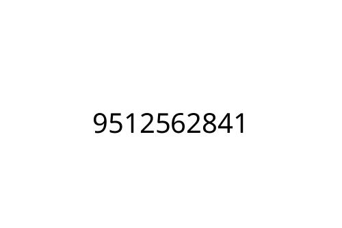 9512562841