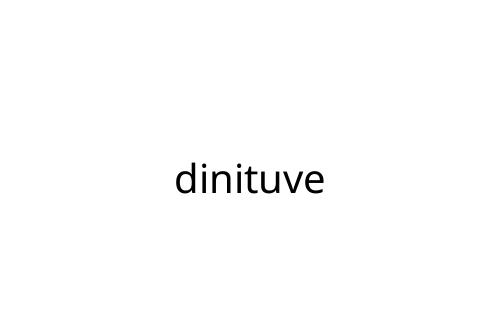 dinituve