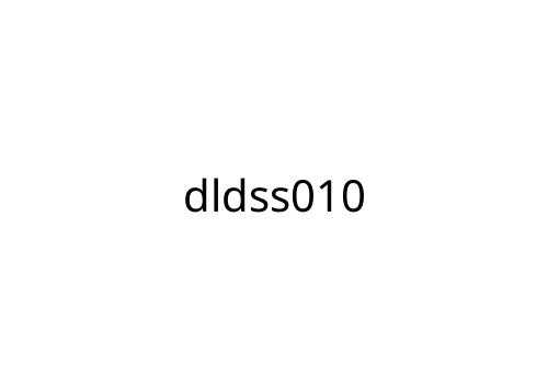 dldss010