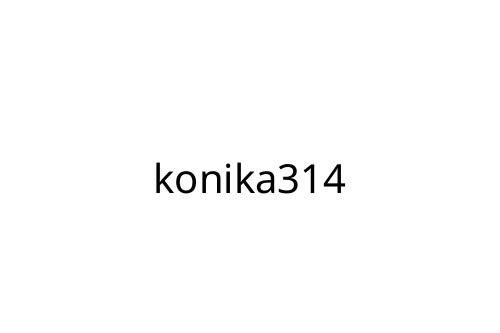 konika314