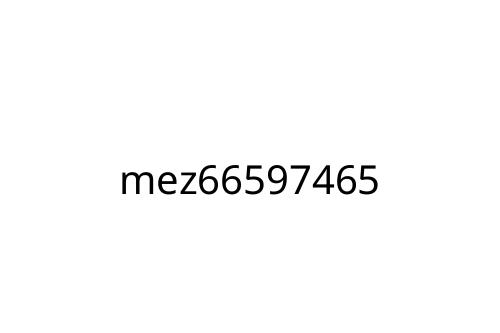 mez66597465