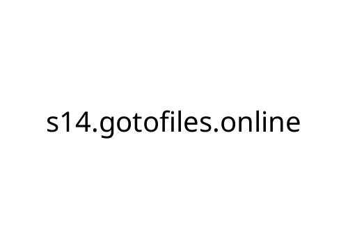 s14_gotofiles_online