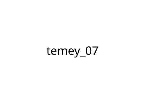 temey_07