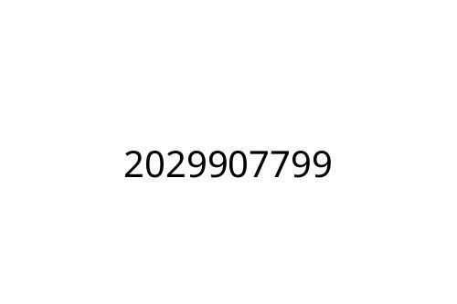 2029907799