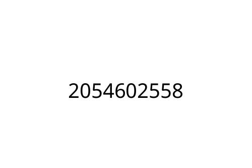 2054602558