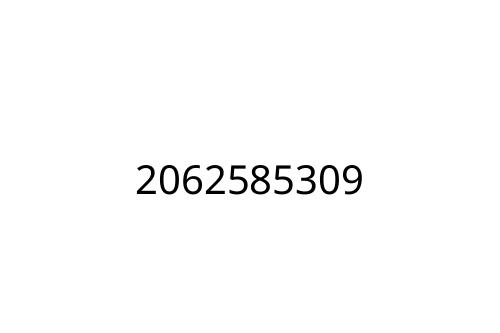 2062585309