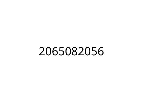 2065082056