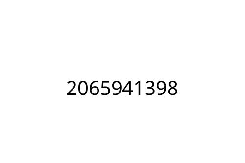 2065941398