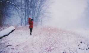 can i play biohunt2000 with friends on different computers