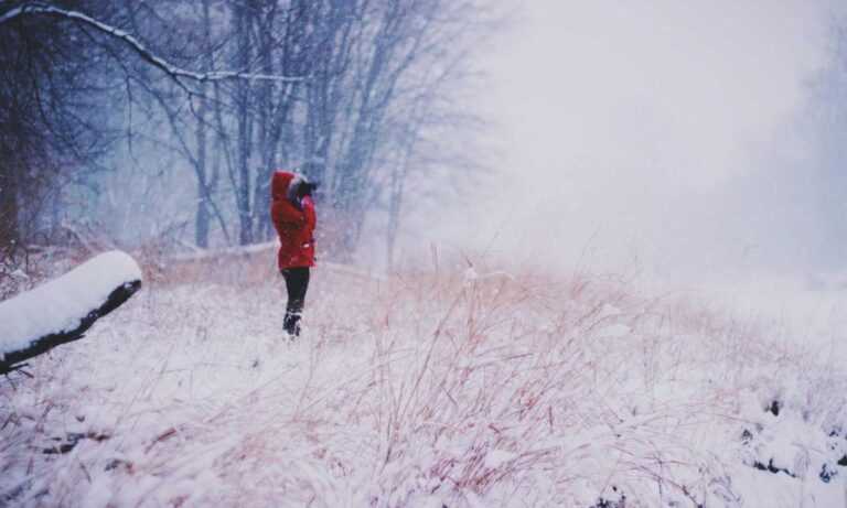 can i play biohunt2000 with friends on different computers